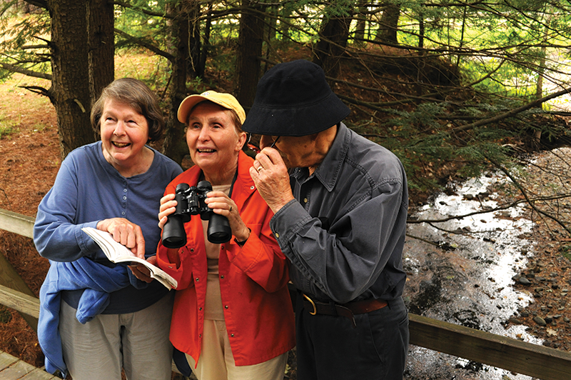 Resident hike and birdwatch
